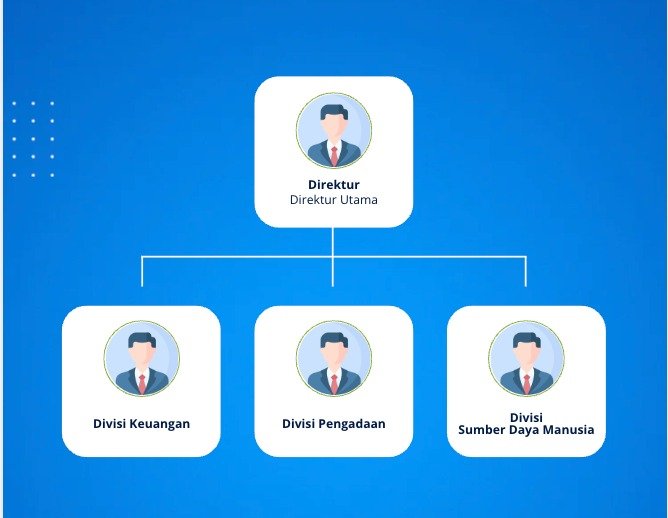 WhatsApp Image 2025-08-08 at 15.17.19